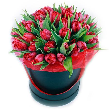 Шляпная коробка из 31 красного пионовидного тюльпана